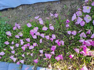 허선경님의 자유주제 · 자유게시판 작성글 사진