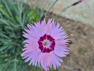 신인농원님의 자유주제 · 자유게시판 작성글 사진