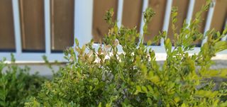 홍정기 님의 자유주제 · 자유게시판 작성글 사진