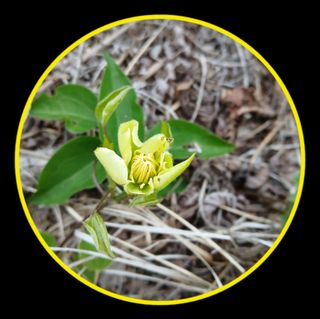 인생은 소풍처럼님의 자유주제 · 자유게시판 작성글 사진