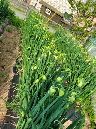 땅땅님의 자유주제 · 자유게시판 작성글 사진