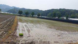 강원도 횡성군님의 자유주제 · 자유게시판 작성글 사진