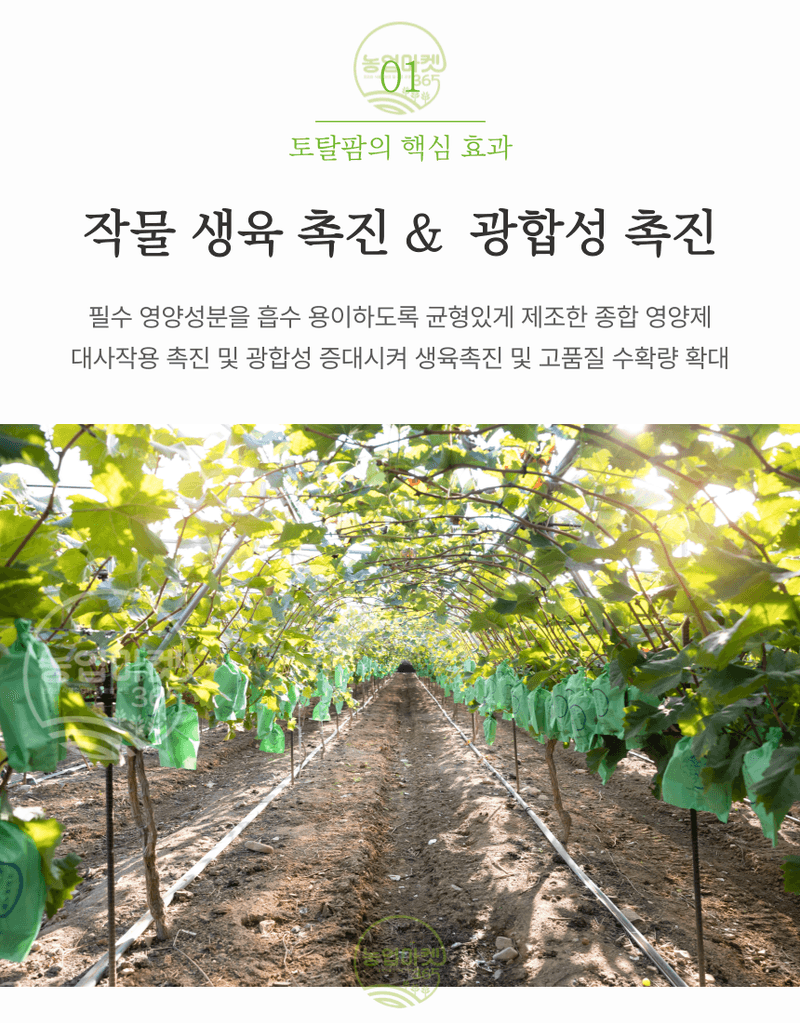 농업마켓365님의 장터 판매 상품 [농업마켓365 융전 토탈팜 액제 500ml 4종복합비료 아미노산 질소 요소 밑거름 웃거름 기비 추비 텃밭 주말농장 ] 첨부 사진