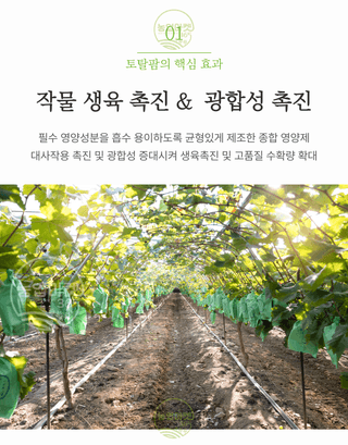 농업마켓365님의 작성글 사진