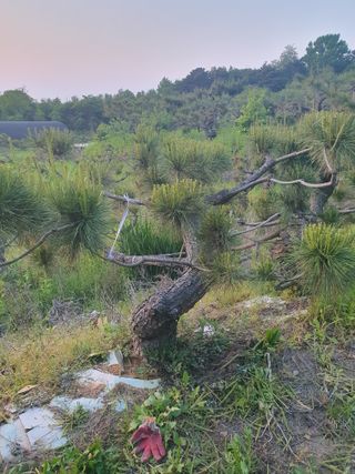 알 수 없음님의 자유주제 · 사진전 작성글 사진