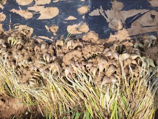 주인성님의 자유주제 · 자유게시판 작성글 사진