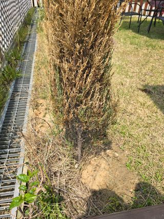 병행농부님의 농사, 무엇이든 물어보세요! · 참여글 작성글 사진