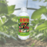 팜모닝 · 게시글 이미지