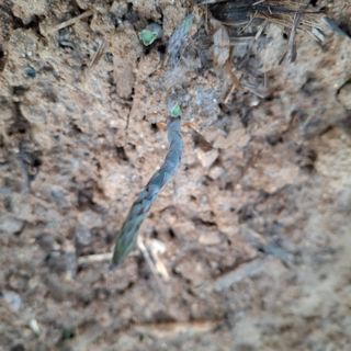 오영도님의 자유주제 · 자유게시판 작성글 사진