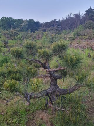알 수 없음님의 자유주제 · 사진전 작성글 사진