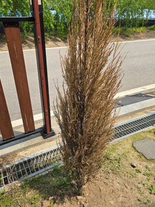 병행농부님의 농사, 무엇이든 물어보세요! · 참여글 작성글 사진