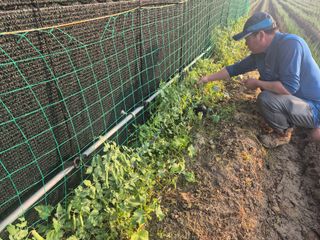 준영농장 출석왕.님의 자유주제 · 자유게시판 작성글 사진