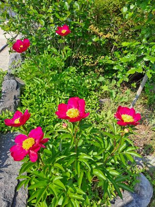 허선경님의 자유주제 · 자유게시판 작성글 사진