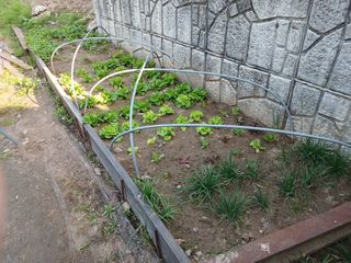 알 수 없음님의 자유주제 · 자유게시판 작성글 사진