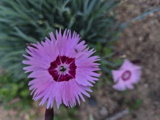 신인농원님의 자유주제 · 자유게시판 작성글 사진