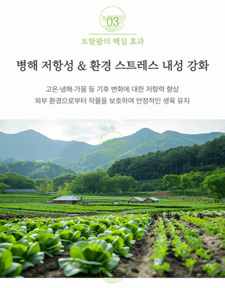 농업마켓365님의 작성글 사진