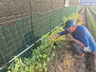 준영농장 출석왕.님의 자유주제 · 자유게시판 작성글 사진