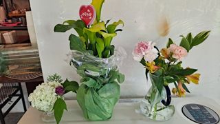 MSG0074님의 자유주제 · 자유게시판 작성글 사진