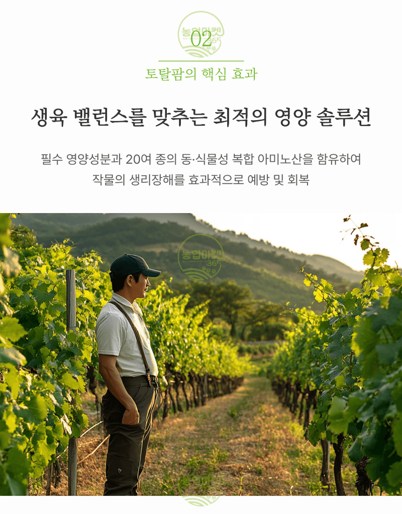 농업마켓365님의 장터 판매 상품 [농업마켓365 융전 토탈팜 액제 500ml 4종복합비료 아미노산 질소 요소 밑거름 웃거름 기비 추비 텃밭 주말농장 ] 첨부 사진