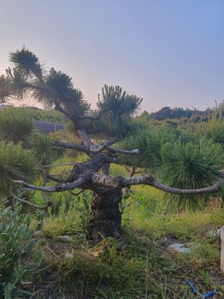 알 수 없음님의 자유주제 · 사진전 작성글 사진