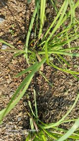 팜모닝 농사, 무엇이든 물어보세요!·참여글 게시글 이미지