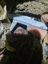 팜모닝 자유주제·자유게시판 게시글 이미지