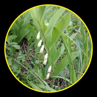 인생은 소풍처럼님의 자유주제 · 자유게시판 작성글 사진