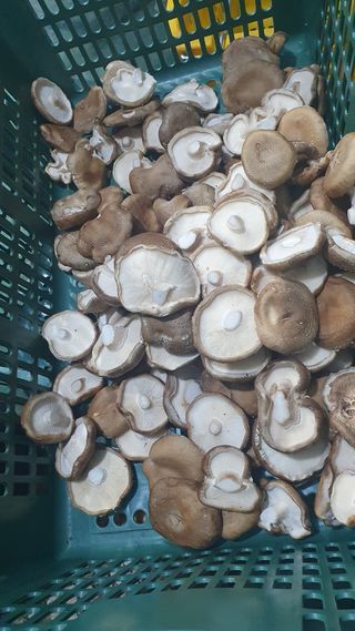 장계령님의 자유주제 · 자유게시판 작성글 사진