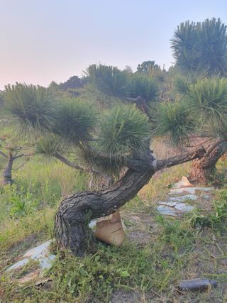 알 수 없음님의 자유주제 · 사진전 작성글 사진