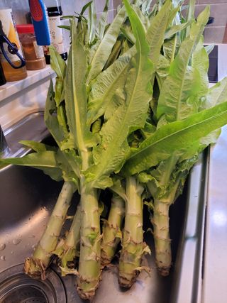 원빈님의 자유주제 · 자유게시판 작성글 사진