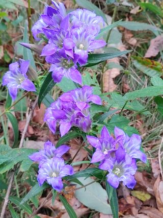 숲속의사나이님의 자유주제 · 자유게시판 작성글 사진