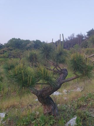 알 수 없음님의 자유주제 · 사진전 작성글 사진