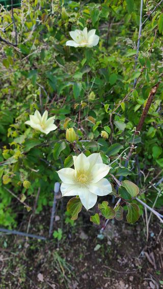 고추건조기부품판매님의 자유주제 · 자유게시판 작성글 사진
