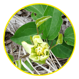 인생은 소풍처럼님의 자유주제 · 자유게시판 작성글 사진