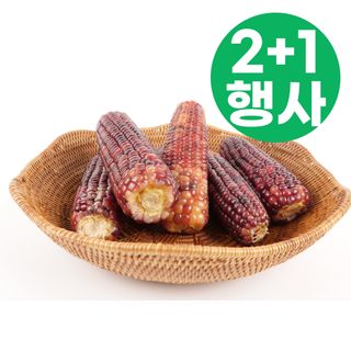 팜모닝 상점님의 작성글 사진