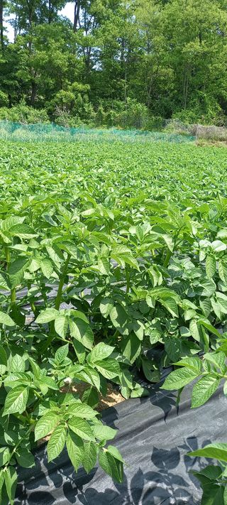 고병길님의 자유주제 · 자유게시판 작성글 사진