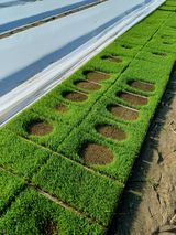 팜모닝 농사, 무엇이든 물어보세요!·참여글 게시글 이미지