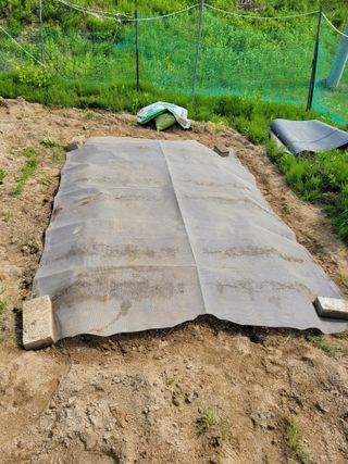 땅땅님의 자유주제 · 자유게시판 작성글 사진