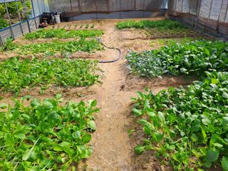 허선경님의 자유주제 · 자유게시판 작성글 사진