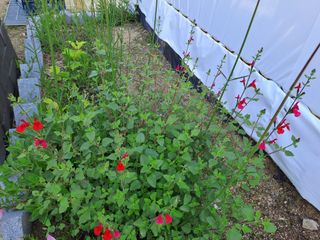 허선경님의 자유주제 · 자유게시판 작성글 사진