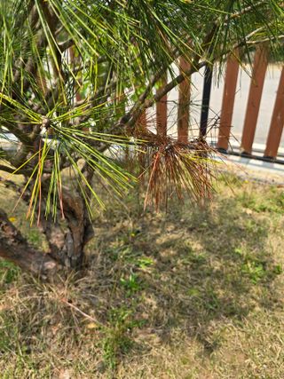 병행농부님의 농사, 무엇이든 물어보세요! · 참여글 작성글 사진