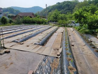 땅땅님의 자유주제 · 자유게시판 작성글 사진