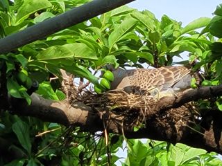 우경농원님의 자유주제 · 자유게시판 작성글 사진