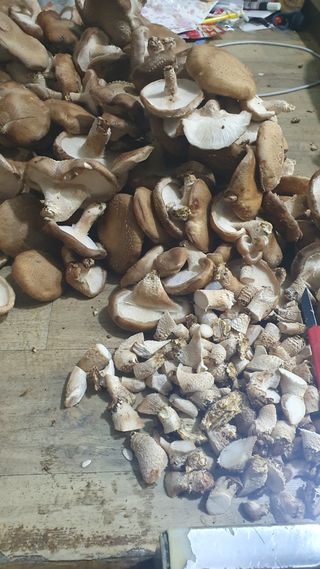 장계령님의 자유주제 · 자유게시판 작성글 사진