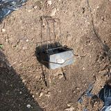 팜모닝 자유주제·자유게시판 게시글 이미지