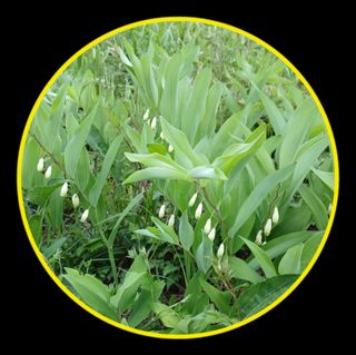 인생은 소풍처럼님의 자유주제 · 자유게시판 작성글 사진