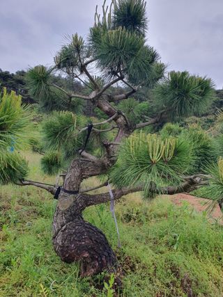알 수 없음님의 자유주제 · 사진전 작성글 사진
