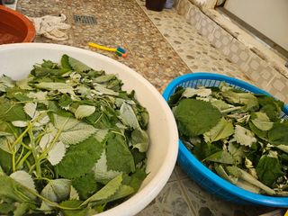 유명숙님의 자유주제 · 자유게시판 작성글 사진