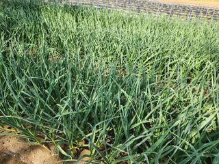 고승현(장수하늘소)님의 자유주제 · 자유게시판 작성글 사진