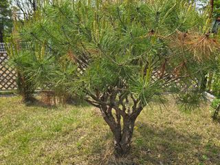 병행농부님의 농사, 무엇이든 물어보세요! · 참여글 작성글 사진